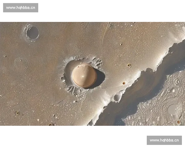 王星：从天文学新发现到科学探索前沿的神秘天体研究